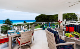 Palm Beach 402