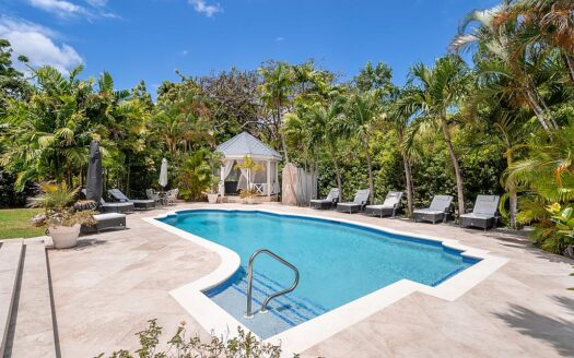 Palm Tree Villa