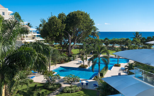 Palm Beach 204