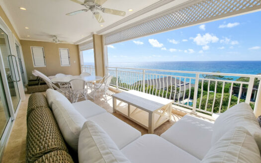 5241 | *MOVE IN READY – Fully Furnished 3BR, Crane Residences.