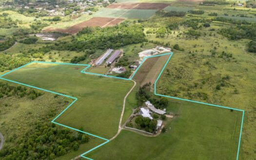 Versatile 25.94 Acres Agricultural Land – Belle Farm, Lots 1A & 2A
