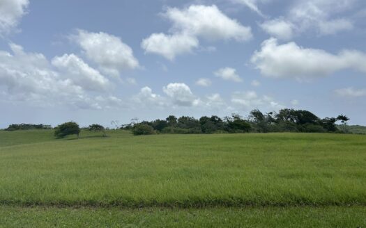 Spacious Lot in Exclusive Golf Resort Community – H16, Holders Meadow, Apes Hill