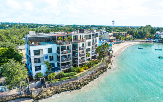 Ocean Reef 101