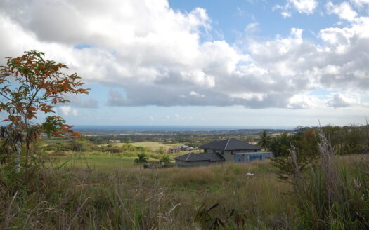 Lot 6A Ayshford