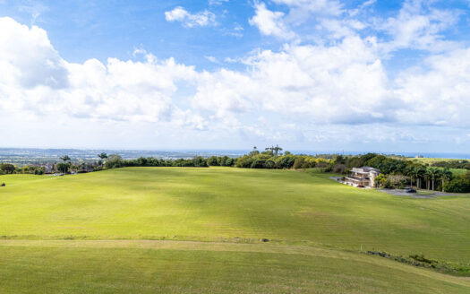 Lion Castle Estate Lot 22