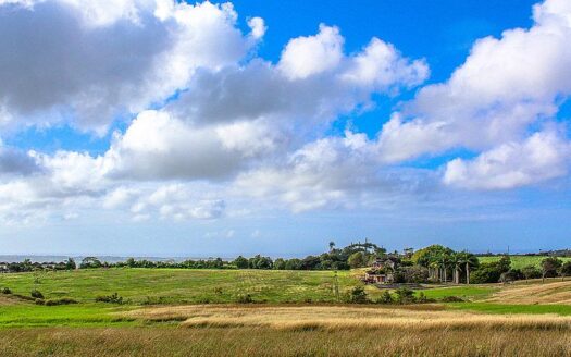 Land – Lion Castle Polo Estate