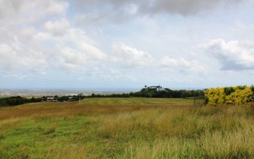 Lion Castle Lot 2