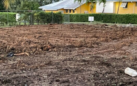 Prime West Coast Residential Lot – Maynards Retreat Lot 95, St. Peter