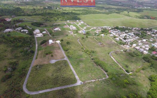 Prime 24‑Acre Development Site in Ayshford, St. Thomas – Fully Serviced & Subdividable