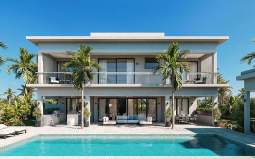The Palm