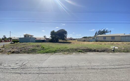 Lot 1 Heddings