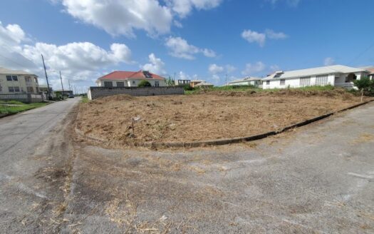 Lot 282 Lucas Street