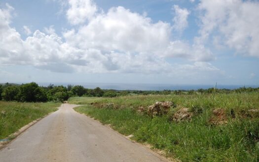 Dunscombe – Lot 2