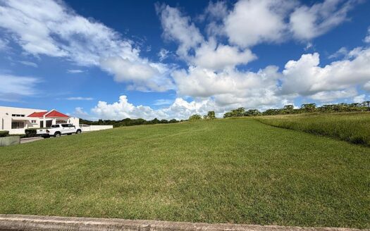 Where is Lot 7 Valley Plantation located?