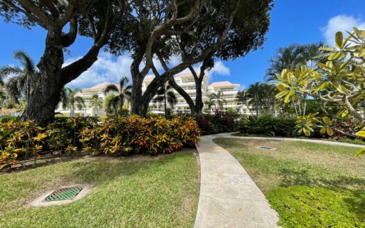 Palm Beach 206