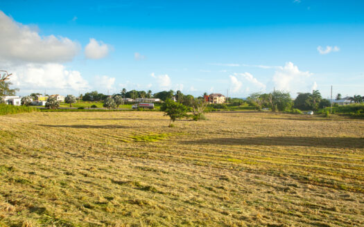 Wotton Land