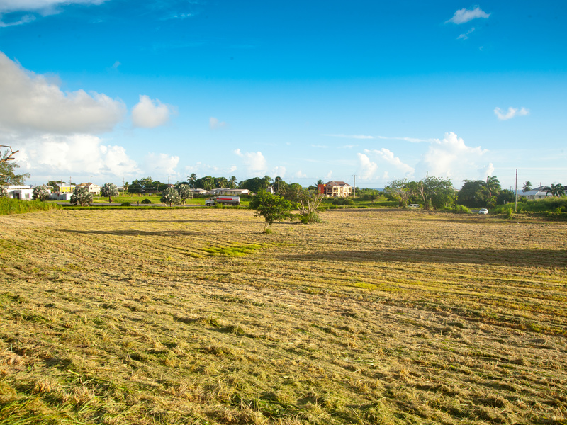 Wotton Land, South Coast, Christ Church